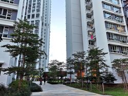 Blk 41A Skyoasis @ Dawson (Queenstown), HDB 3 Rooms #367756161